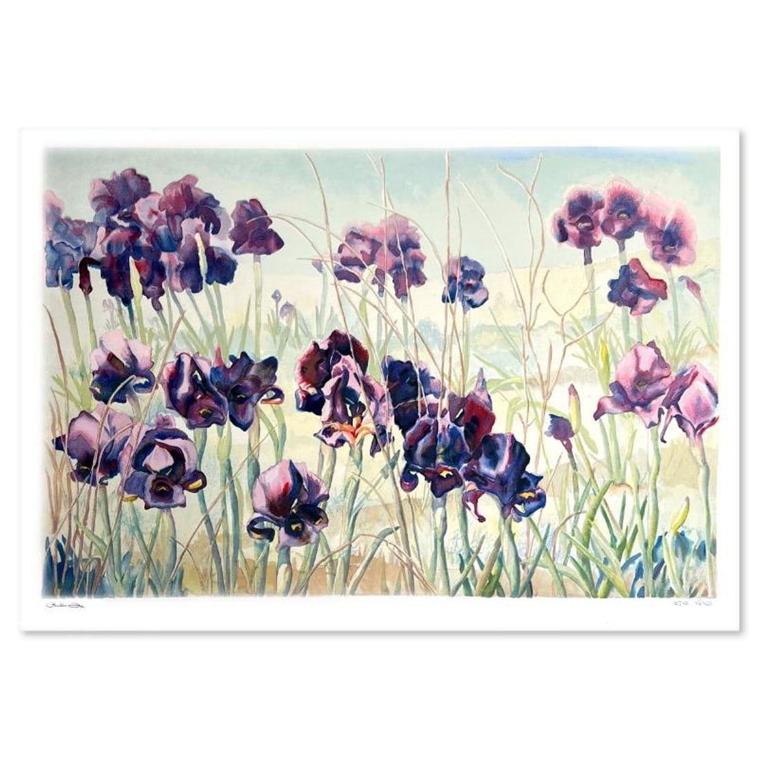 Perla Fox, "Iris" Hand Signed Limited Edition Serigraph with Letter of Authenticity. (1 of 2)