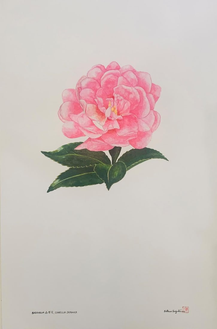 Satsou Suzuki- Original painting on paper: Artist: Satsou Suzuki. Medium: Original painting on paper. Size: 22" x 16". Reference#: 25063.