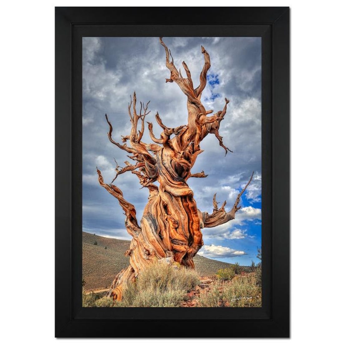 Jongas, "Witness Of Time" Framed Limited Edition Photograph on Canvas, Numbered and Hand Signed with: Witness Of Time is a limited edition giclee on canvas by photographer Jongas, numbered and hand signed by the artist. The piece comes custom framed and includes Letter of Authenticity. Measures
