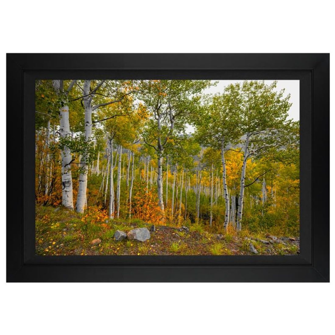 Jongas, "Colorado Garden" Framed Limited Edition on Canvas, Numbered and Hand Signed with Letter of: Colorado Garden is a limited edition giclee on canvas by photographer Jongas, numbered and hand signed by the artist. The piece comes custom framed and includes Letter of Authenticity. Measures approx