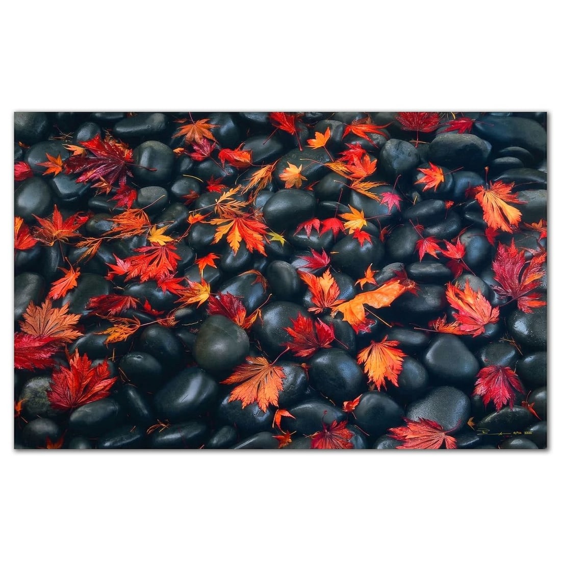 Peter Lik- Limited Edition Photograph "Autumn Moods" (1 of 4)