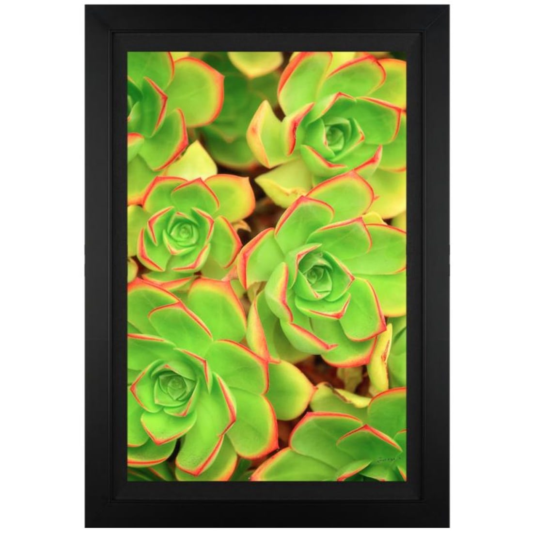 Jongas, "Summertime" Framed Limited Edition on Canvas, Numbered and Hand Signed with Letter of (1 of 1)