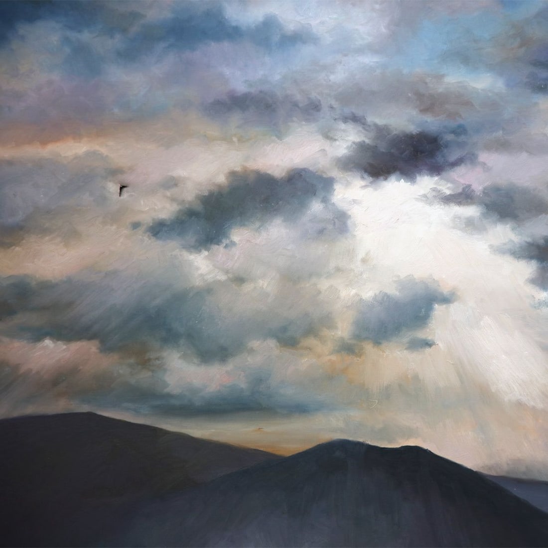 Robert White- - 2