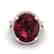 10 CTW Garnet & Micro Pave VS/SI Diamond Halo Ring 14K