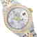 Rolex Men's Two Tone 14K Gold/SS, QuickSet, Arabic Dial