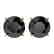 2.50 CTW Fancy Black VS Diamond Solitaire Stud Earrings
