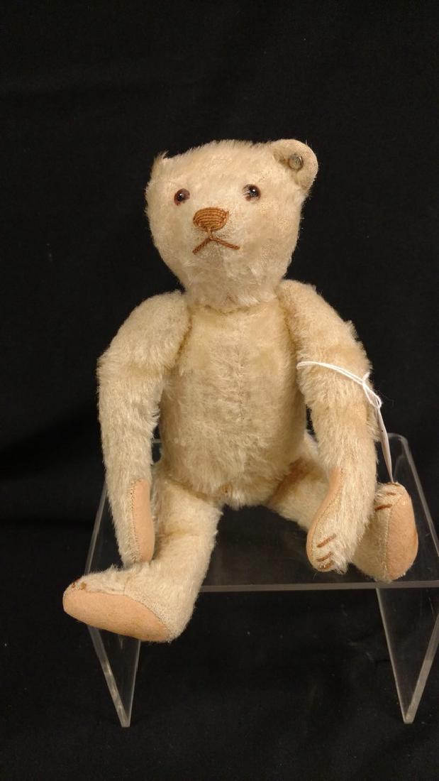 Steiff Bear glass Eye, Tag in ear, Beautiful cream, (1 of 4)