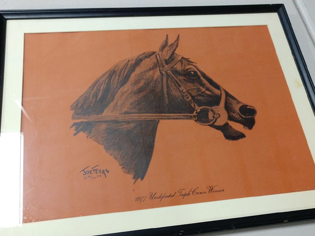 Undefeated Triple Crown Winner (1 of 3)