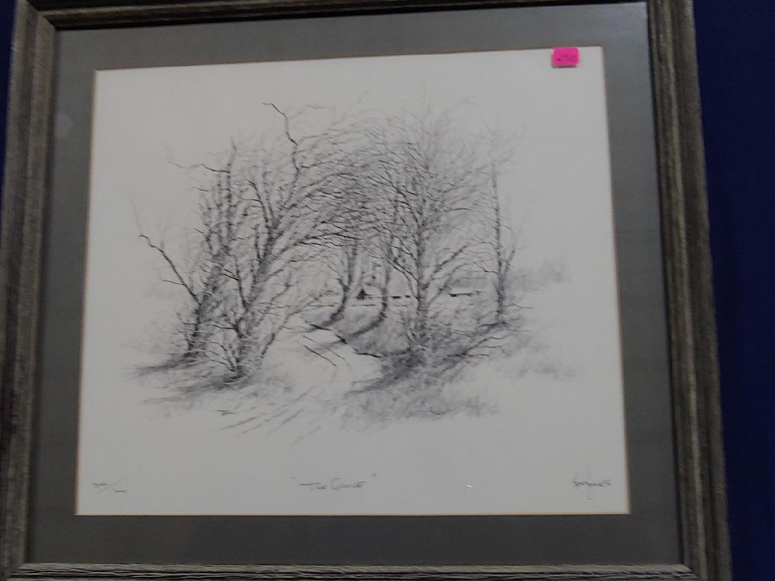 Framed art pencil drawing