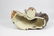 CHINESE FINE PORCELAIN FIGURINE - 6