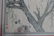 CHINESE WATERCOLOR PAINTING-ZHANG SHAN ZI - 2