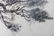 FRAMED CHINESE WATERCOLOR PAINTING - 5
