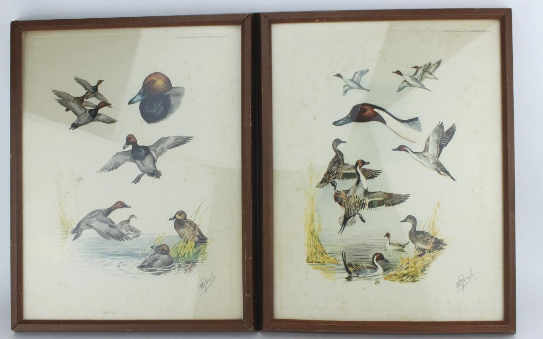 PAIR OF ROBIS RIAB DUCK LITHOGRAPHS SIGNED (1 of 6)