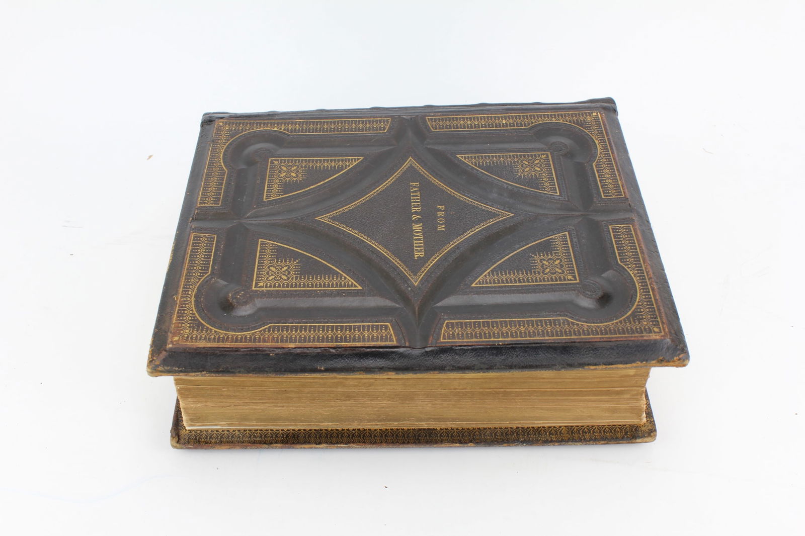 THE COMPREHENSIVE & SELF-INTERPRETING FAMILY BIBLE (1 of 20)