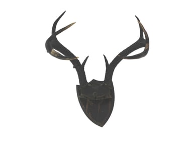 Faux Deer Antler Wall Trophy