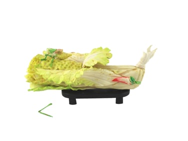 Chinese Carved Bone Cabbage with Grasshopper