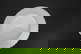 item-210161296=3