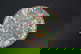 item-210161296=4