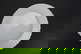 item-210161296=6