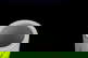 item-210161318=4