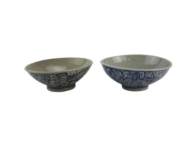 Two Chinese Blue & White Bowls
