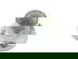 item-210161475=4