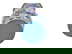 item-210161521=11