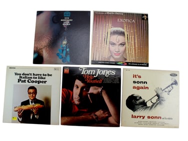 Five12-inch Vinyl Audio Records