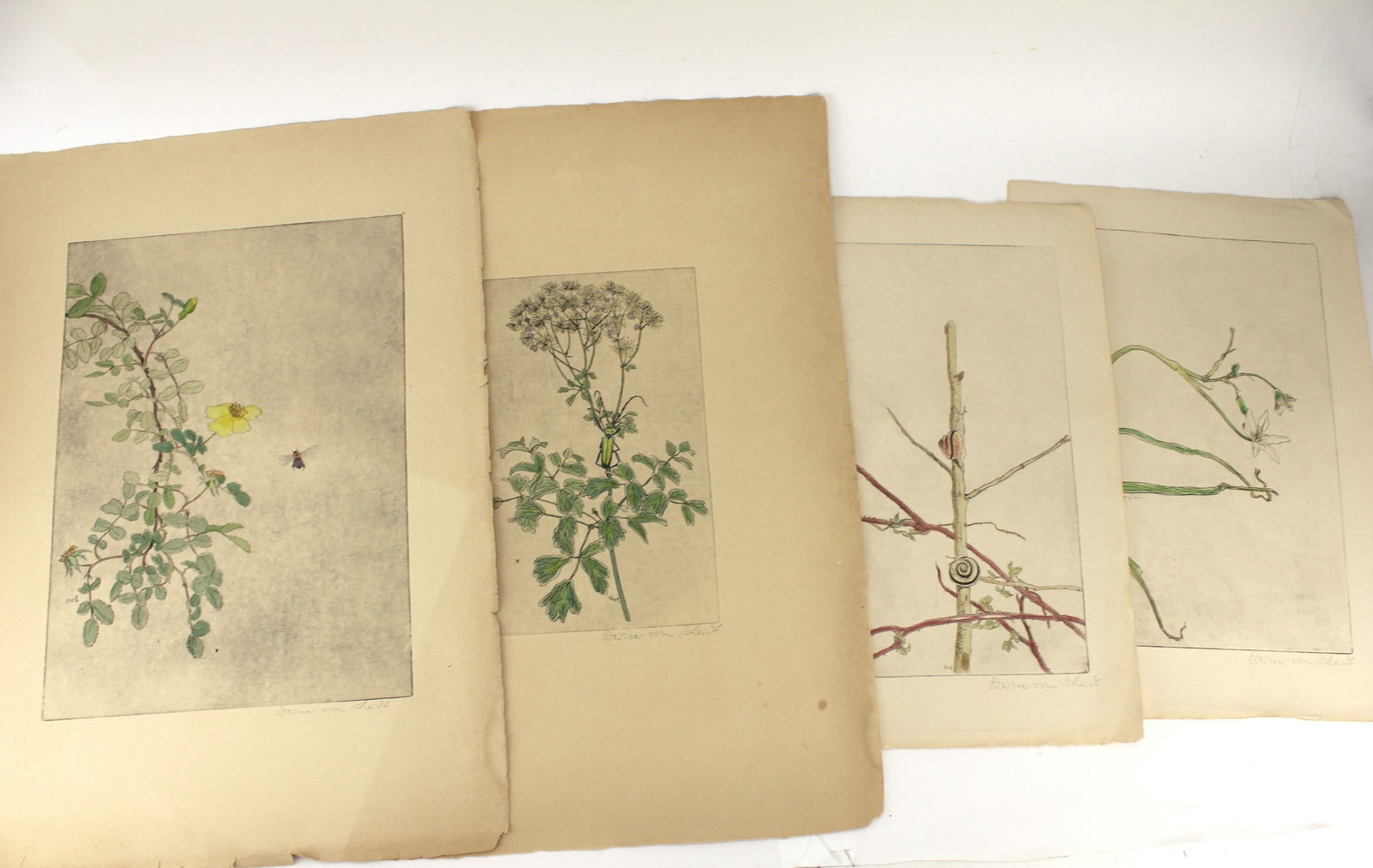 WERNER VOM SCHEIDT. FOUR COLOR ETCHINGS (1 of 13)