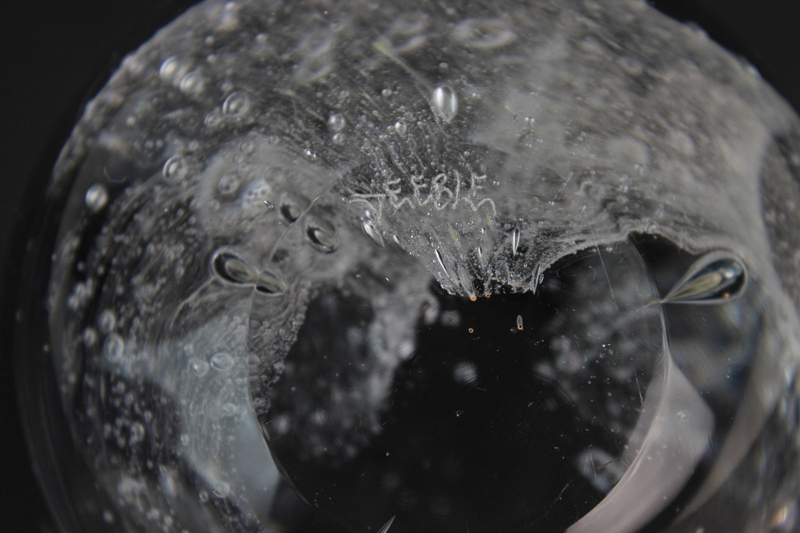 Two Robert Deeble Art Glass Paperweights - 10