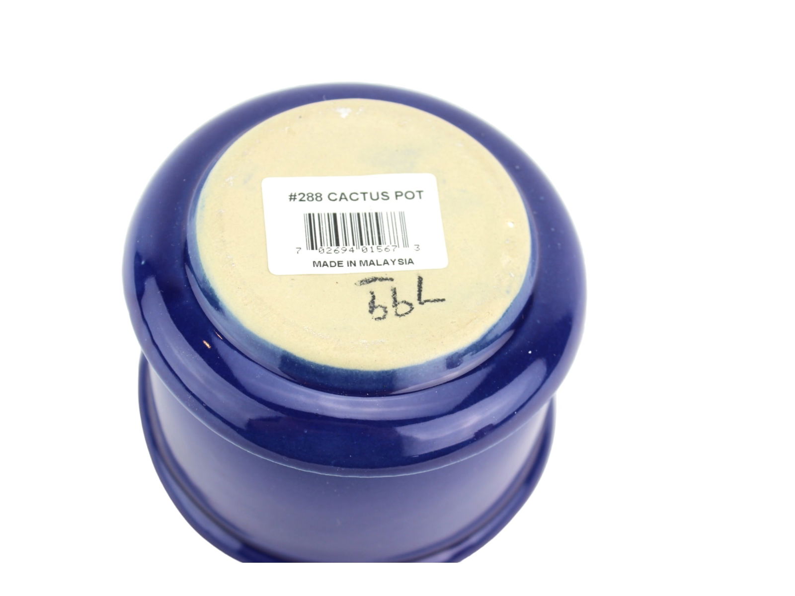 Blue Pottery Cactus Pot - 3