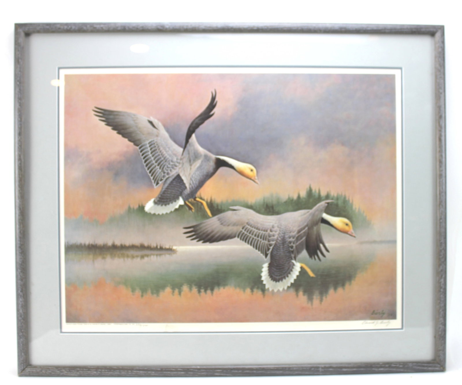 Edward J. Bierly. Emperor Geese Pitching, Print (1 of 7)