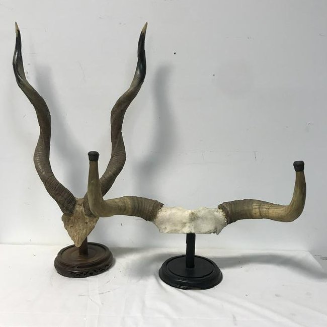Lot of 2 Horn Mounts (1 of 6)