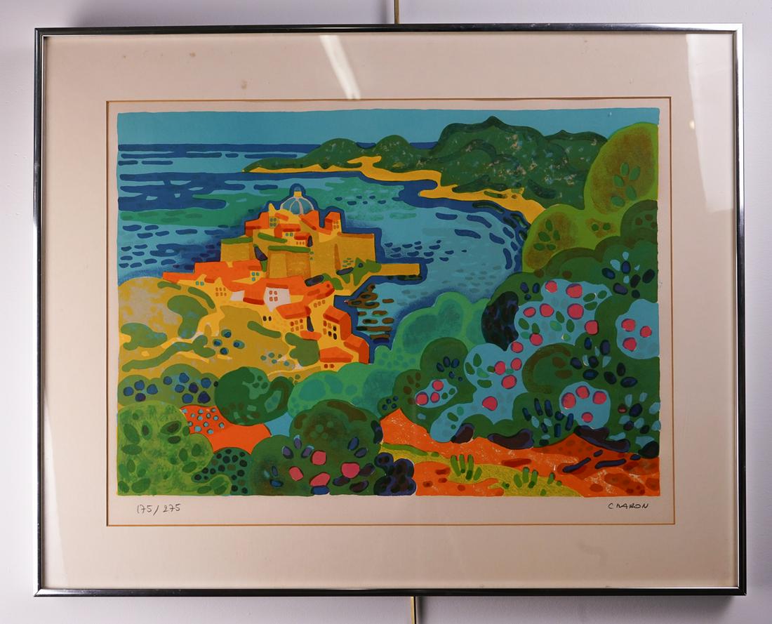 Vibrant Print in Frame by Guy Charon (1 of 7)