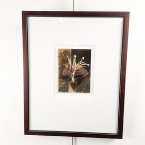 Framed Andrew Sovjani Art Photograph