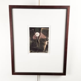 Andrew Sovjani Unique Art Photograph