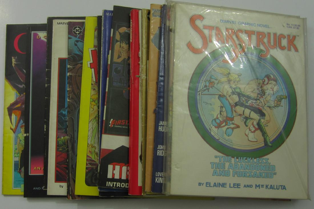 Graphic Novels (17) Assorted issues (1 of 5)