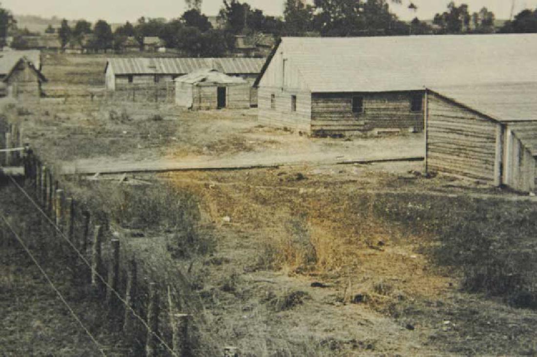 German WW2 Photo Concentration Camp Jaworow (1 of 5)