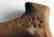 Jewish WW2 Handle Stick w. Star of David, LITZMANNSTADT - 8