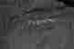 item-130681310=11