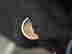 item-130681310=12