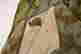 item-130681312=15