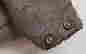 item-130681319=11