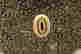 item-130681319=5