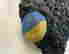 item-130681325=8
