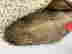 item-130681327=6