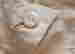 item-130681331=8