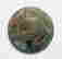 item-131050091=2