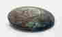 item-131050091=7