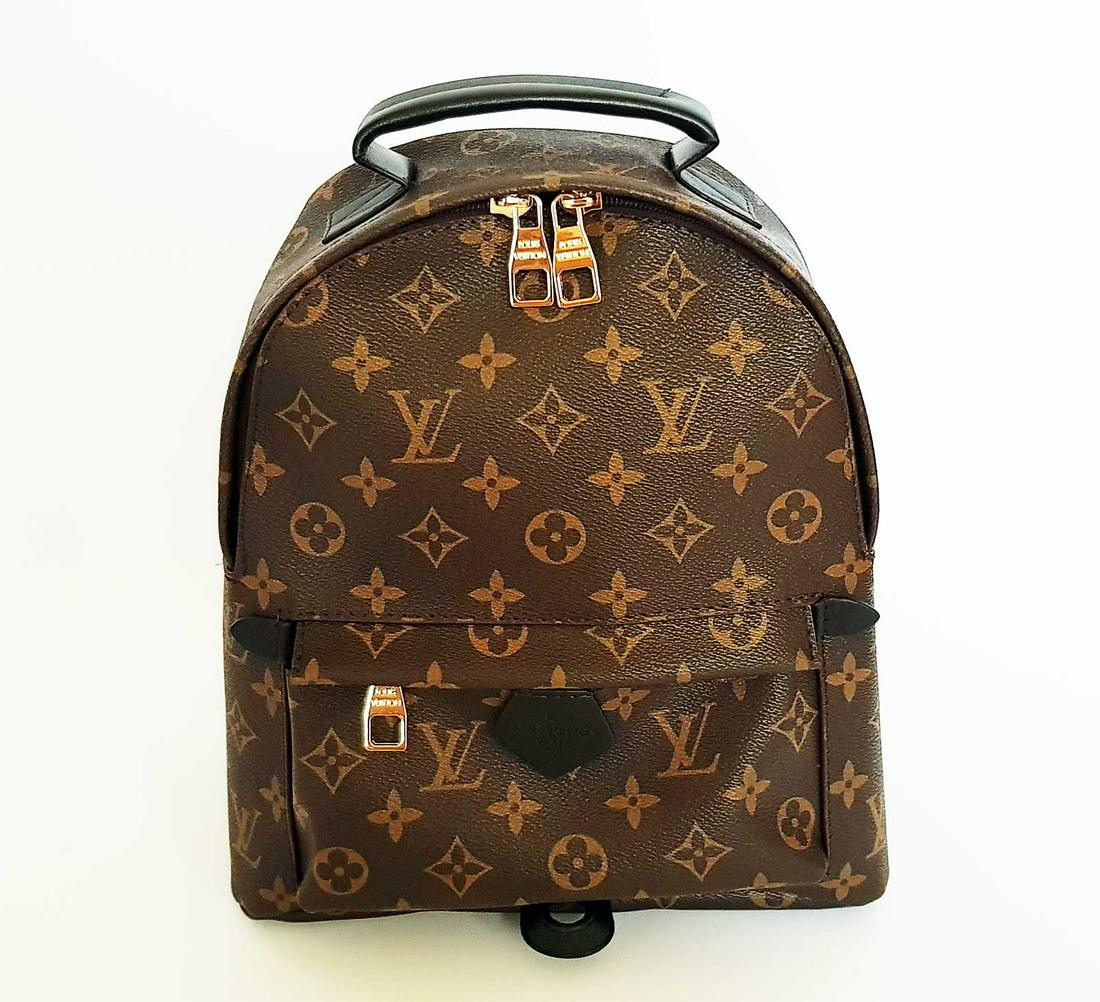 LOUIS VUITTON PALM SPRINGS PM BACKPACK (1 of 18)